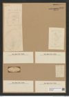 Diatomeae indet. Zeichnungen Sammlung Grunow Nr. 6940 (NHMW-BOT-W0375829)